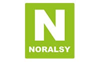 logo-noralsy